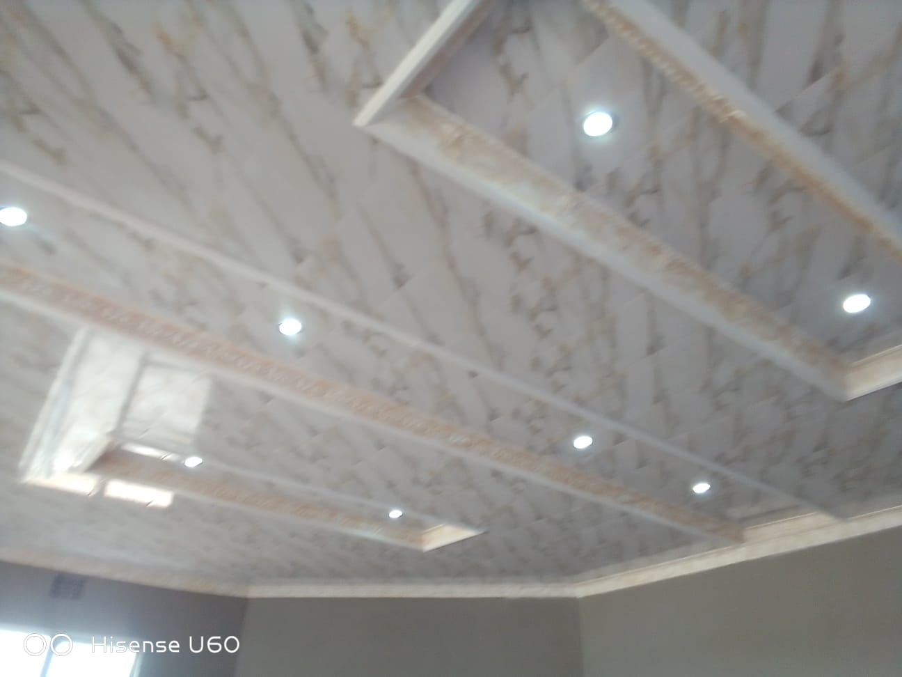 PVC Ceiling  Marble Finish & Downlights