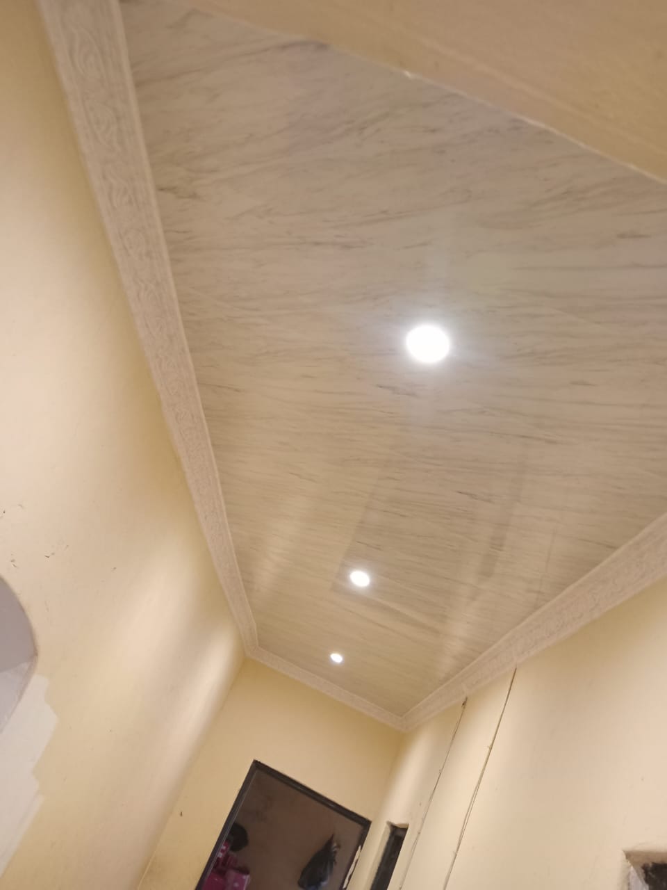 Rhino Board Ceiling  LED Downlights
