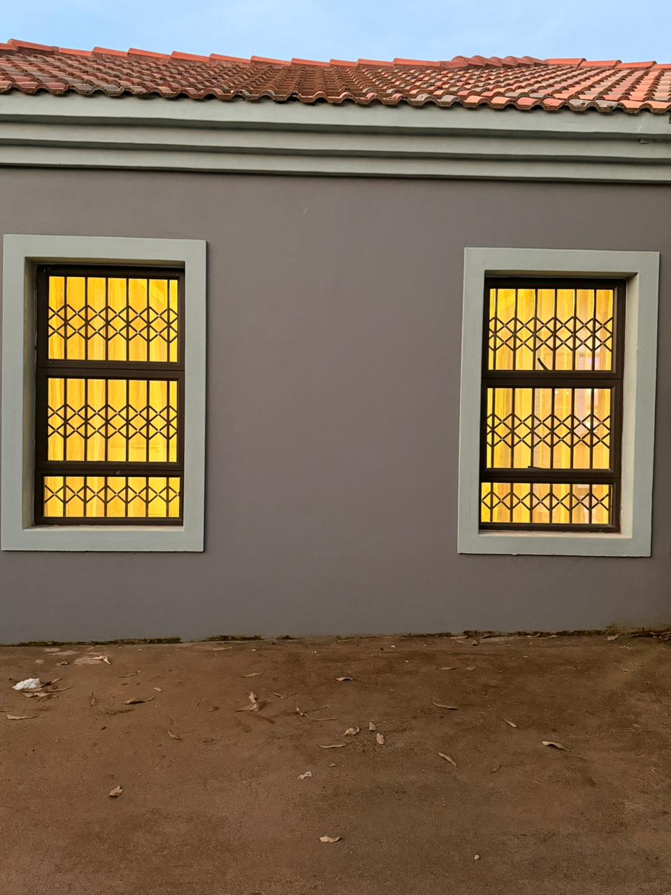 Exterior window burglar bars